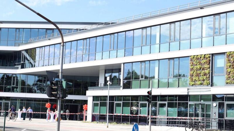 Kolumne Mensch Gladbach: Wenn Realität schöne Träume platzen lässt