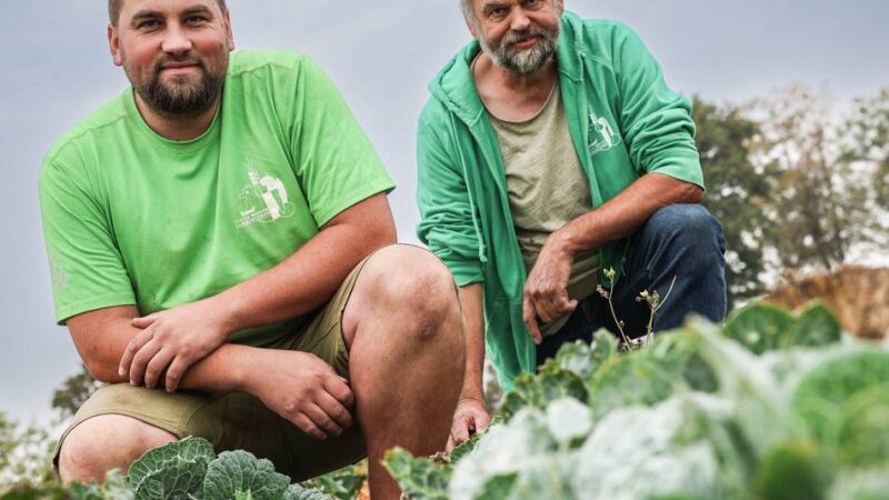 Agroforst auf dem Lammertzhof in Büttgen: „Wünschenswert, wenn andere Landwirte unserem Beispiel folgen“