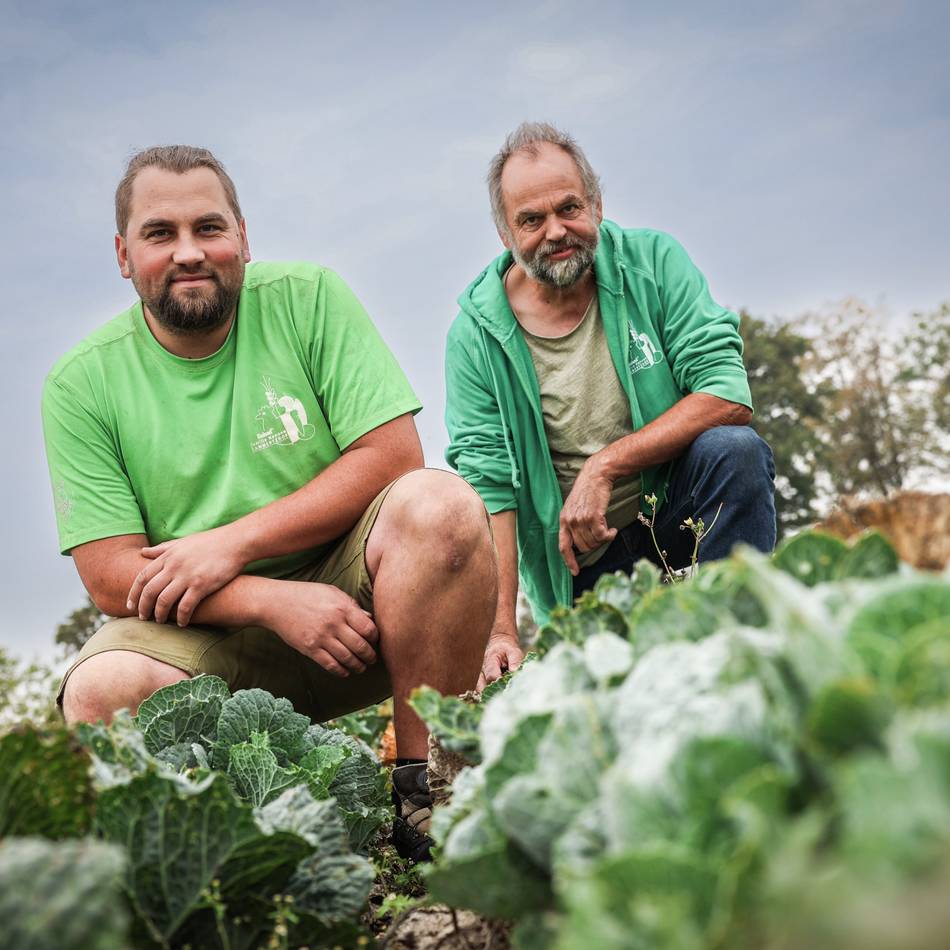 Agroforst auf dem Lammertzhof in Büttgen: „Wünschenswert, wenn andere Landwirte unserem Beispiel folgen“