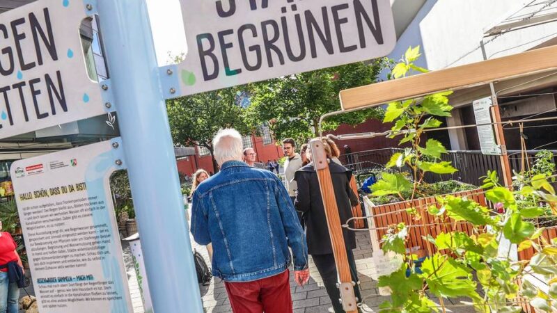 Neue Umwelt-Ausstellung in der Neusser Innenstadt: Aus grauen Mauern grüne Inseln machen