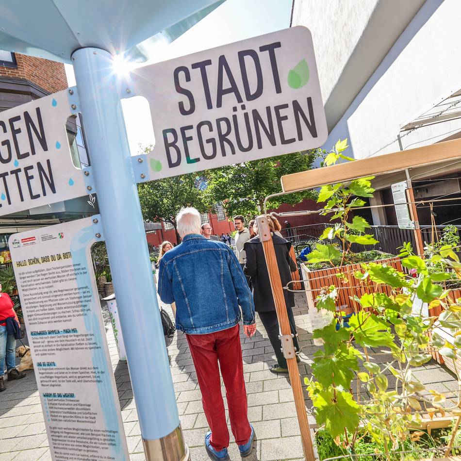 Neue Umwelt-Ausstellung in der Neusser Innenstadt: Aus grauen Mauern grüne Inseln machen