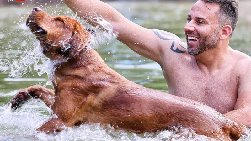 Zweitägiges Hundeschwimmen beendet die Saison 2025 im Naturfreibad Mettmann: Pack die Hundeleine ein