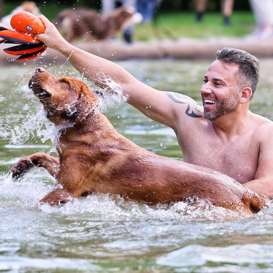 Zweitägiges Hundeschwimmen beendet die Saison 2025 im Naturfreibad Mettmann: Pack die Hundeleine ein