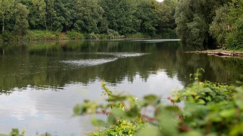 Von Minigolf bis ruhiger Verkehr: Das wünschen sich Kinder und Jugendliche für Meerbusch