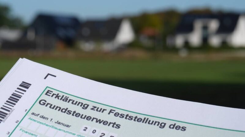 Bekommt Dormagen eine „Ampel plus“?: Anträge mit Sprengkraft