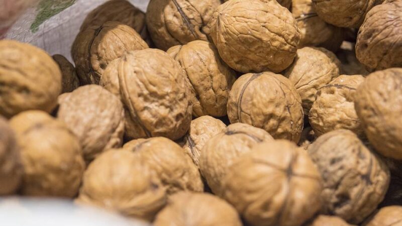 Ungewöhnlicher Fall in Jüchen: Mann stiehlt 30 Kilogramm Walnüsse