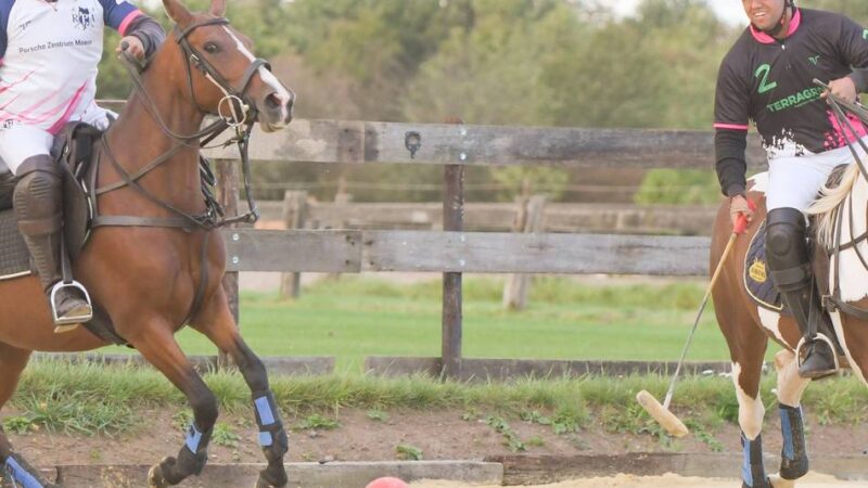 Neue Sportart in Bedburg-Hau: Premiere für internationales Poloturnier auf dem Heisterfeldshof