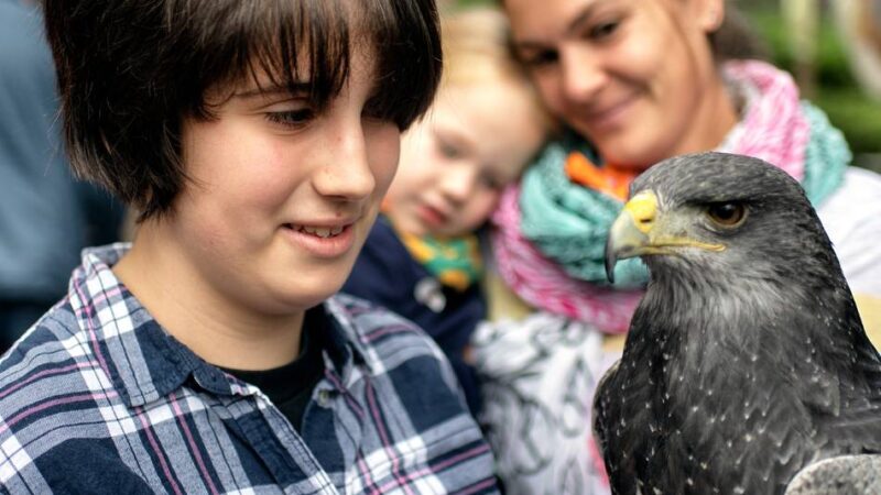 Das ist los am Wochenende in Leverkusen: Heiße Eisen, große Vögel und antike Kuriositäten