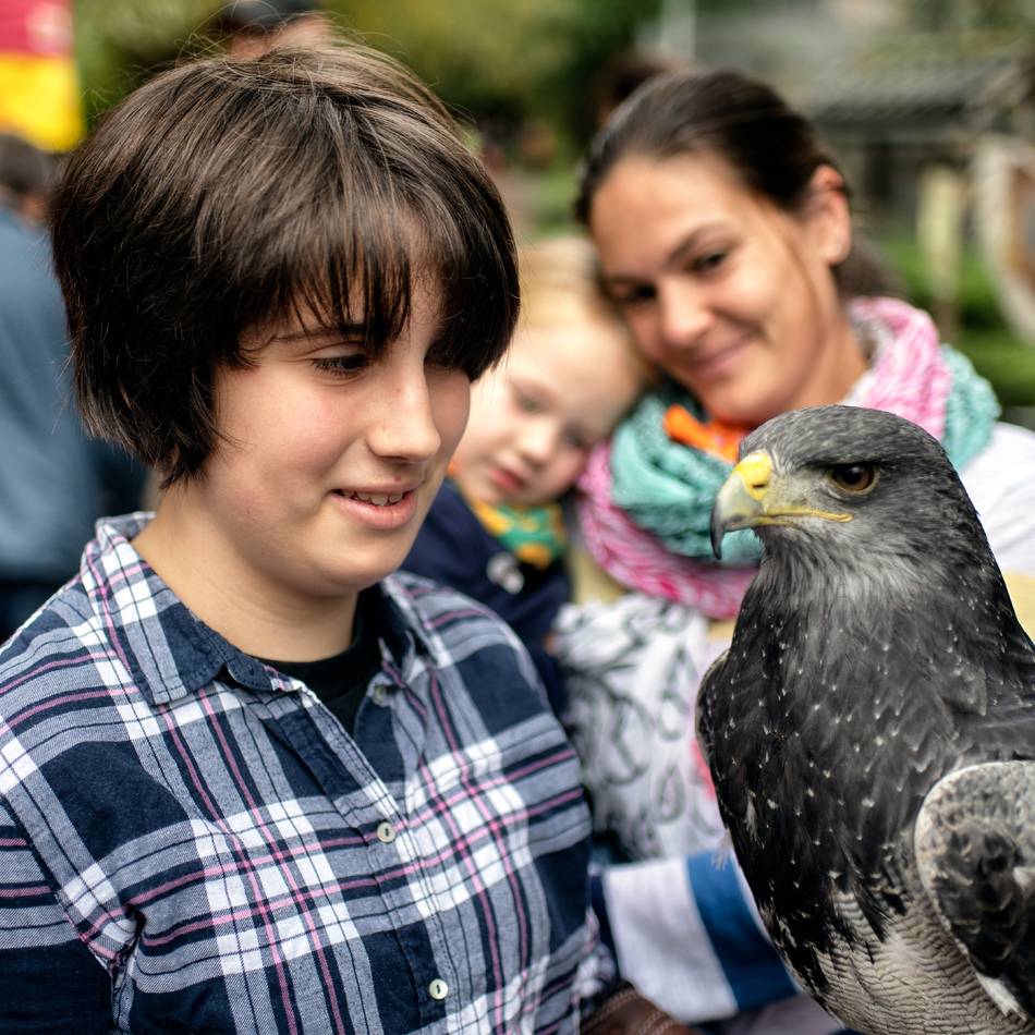 Das ist los am Wochenende in Leverkusen: Heiße Eisen, große Vögel und antike Kuriositäten