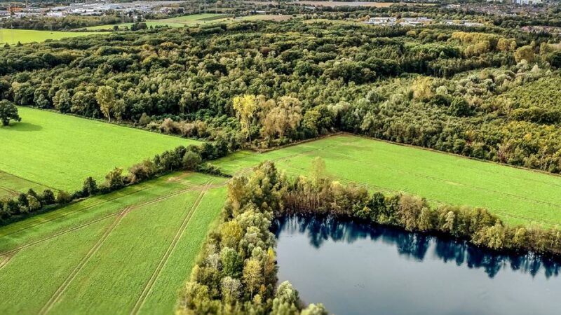 Klimaschutz Langenfeld: Stadt soll benötigte Energie selbst produzieren