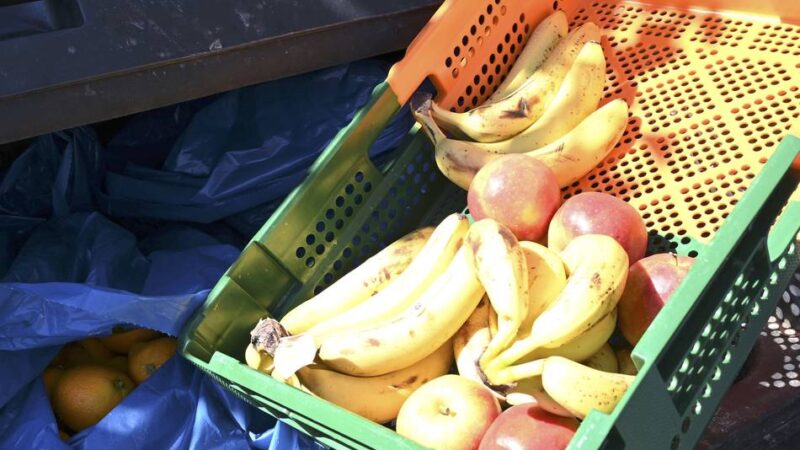 Abfallvermeidung im Kreis Mettmann: Neun Müllwagen voller Lebensmittel pro Tag sind zuviel