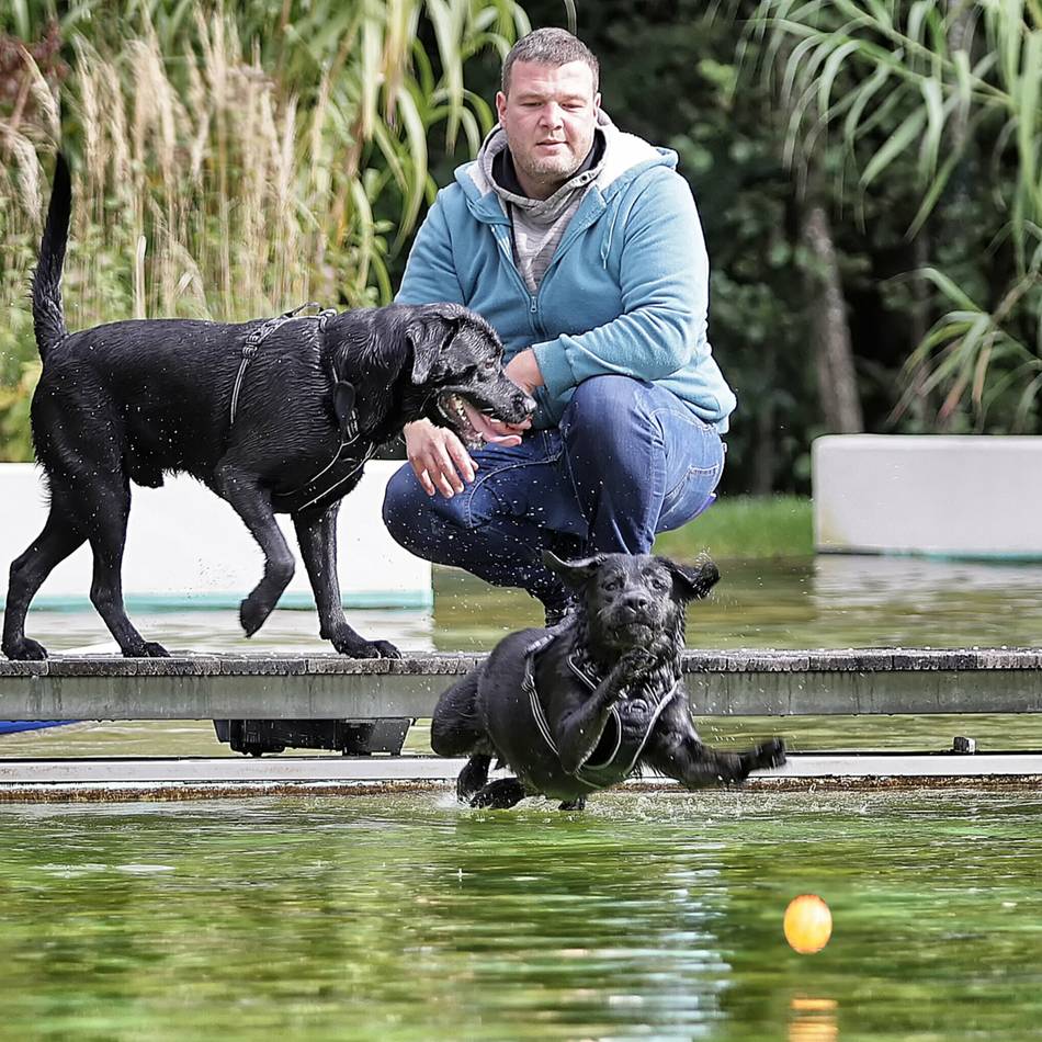 Hundeschwimmen in Mettmann: Nun dürfen die Hunde ins Naturfreibad