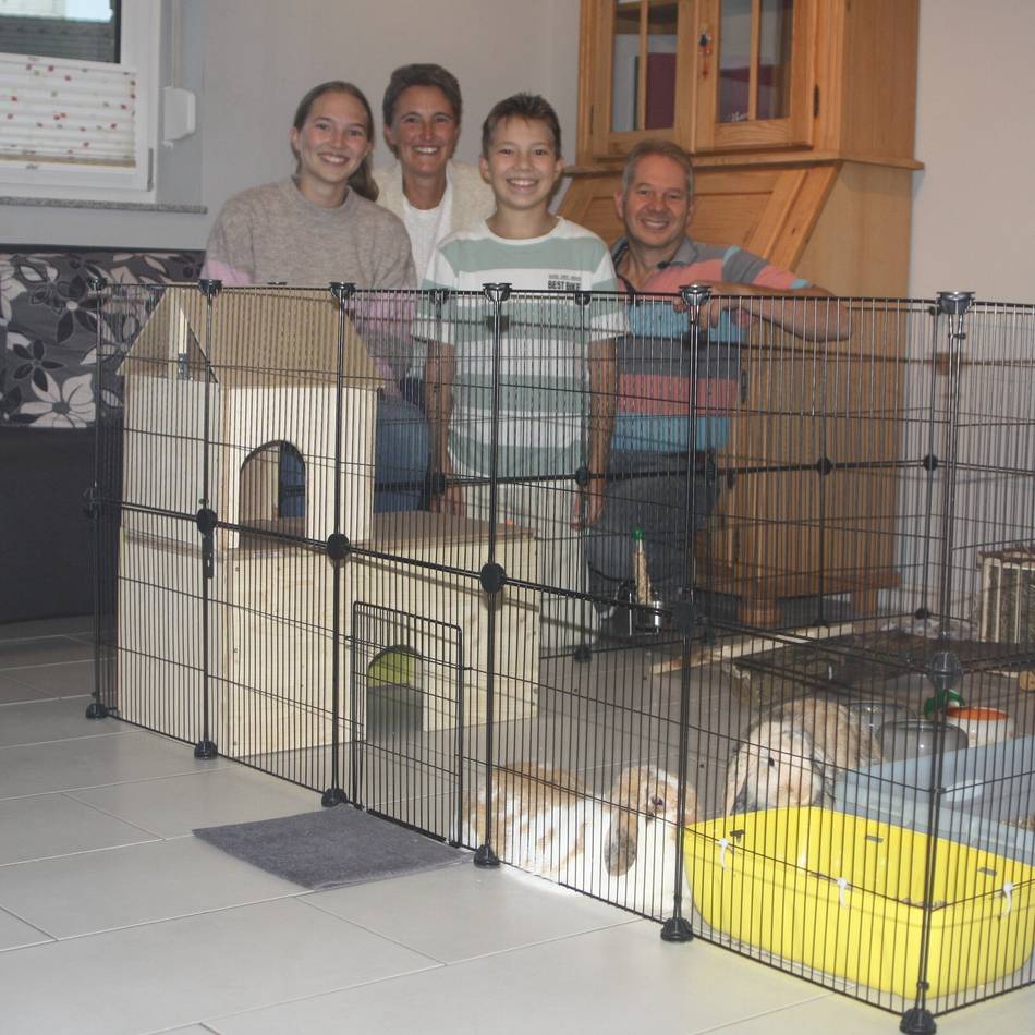 Neues Zuhause in Lobberich: Vom Tier der Woche zum Adoptivkaninchen – eine Erfolgsgeschichte