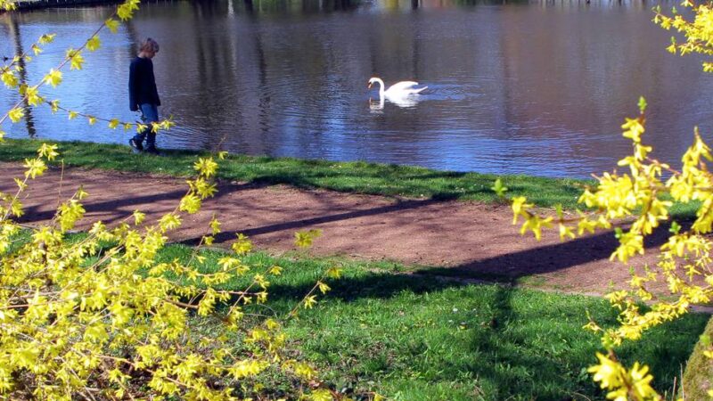 Kommnunalwahl 2025 in Rheinberg: Linke wollen den Stadtpark stärker nutzen