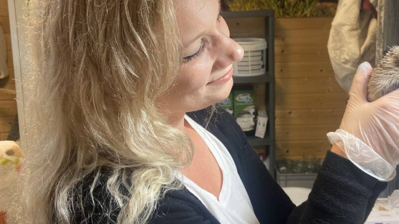 Igelschutz im Erkelenzer Land: Politik appelliert an den Menschenverstand