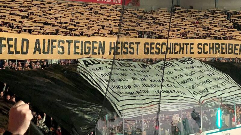 Krefelder sind Top-Favorit: Fünf Gründe, warum die Pinguine die DEL2-Meisterschaft holen werden