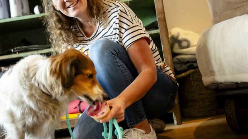 Tiere in Düsseldorf : Wie gesund ist Hundeeis?