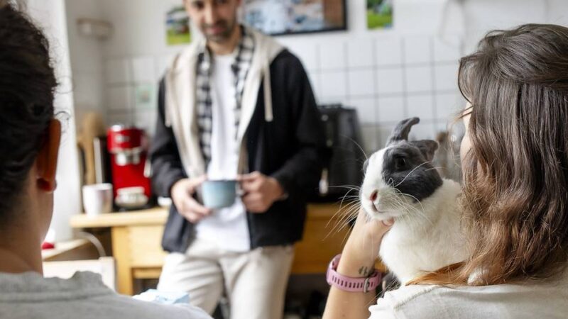 Vor Semesterbeginn in Düsseldorf: Sind günstige WG-Zimmer bald Geschichte?