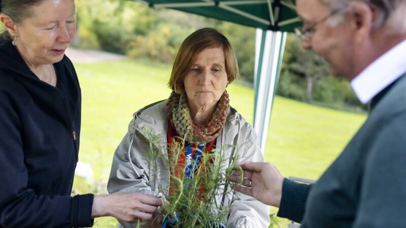 VHS-Biogarten in Düsseldorf
: Pflanzen tauschen und Wurmkisten checken im Südpark