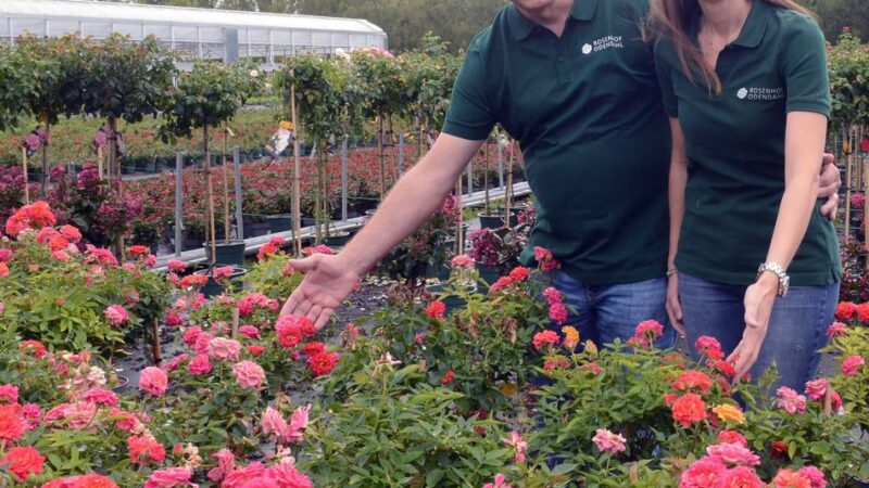 Das Unternehmen des Neusser Schützenkönigs: „Die meisten Kunden sind Romantiker und wollen die Klassiker“