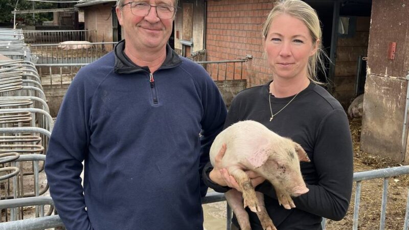 „Bittere Enttäuschung“: Landwirte verärgert über eingestelltes Förderprogramm