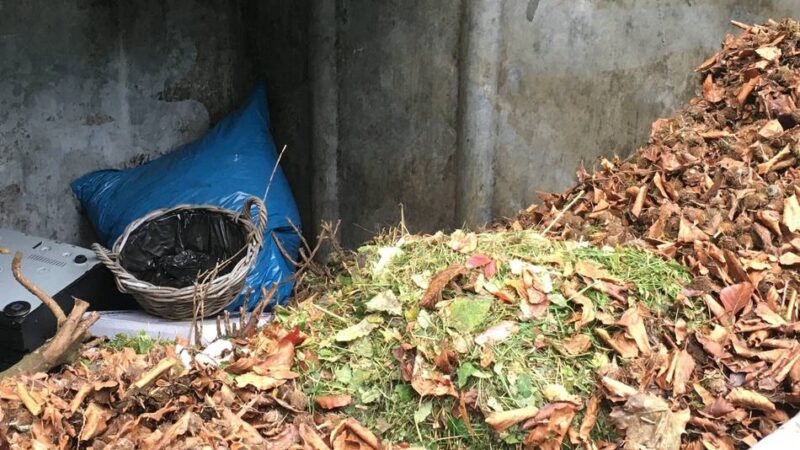 Viersen hilft bei der Entsorgung: Sammelboxen für Blätter von Stadtbäumen