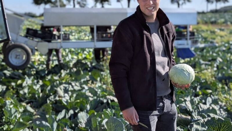 Erntedank in Brüggen: Was den Kohl so besonders gesund macht