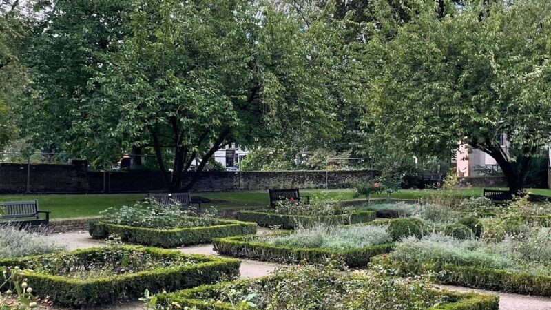 Serie „Unerwartet grüne Oasen“: „Ein kleiner Geheimtipp“ – versteckter Rosengarten in Düsseldorf