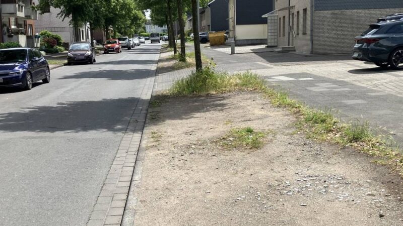 Nach Anwohnerprotest: Stadt macht beim Parken eine Rolle rückwärts