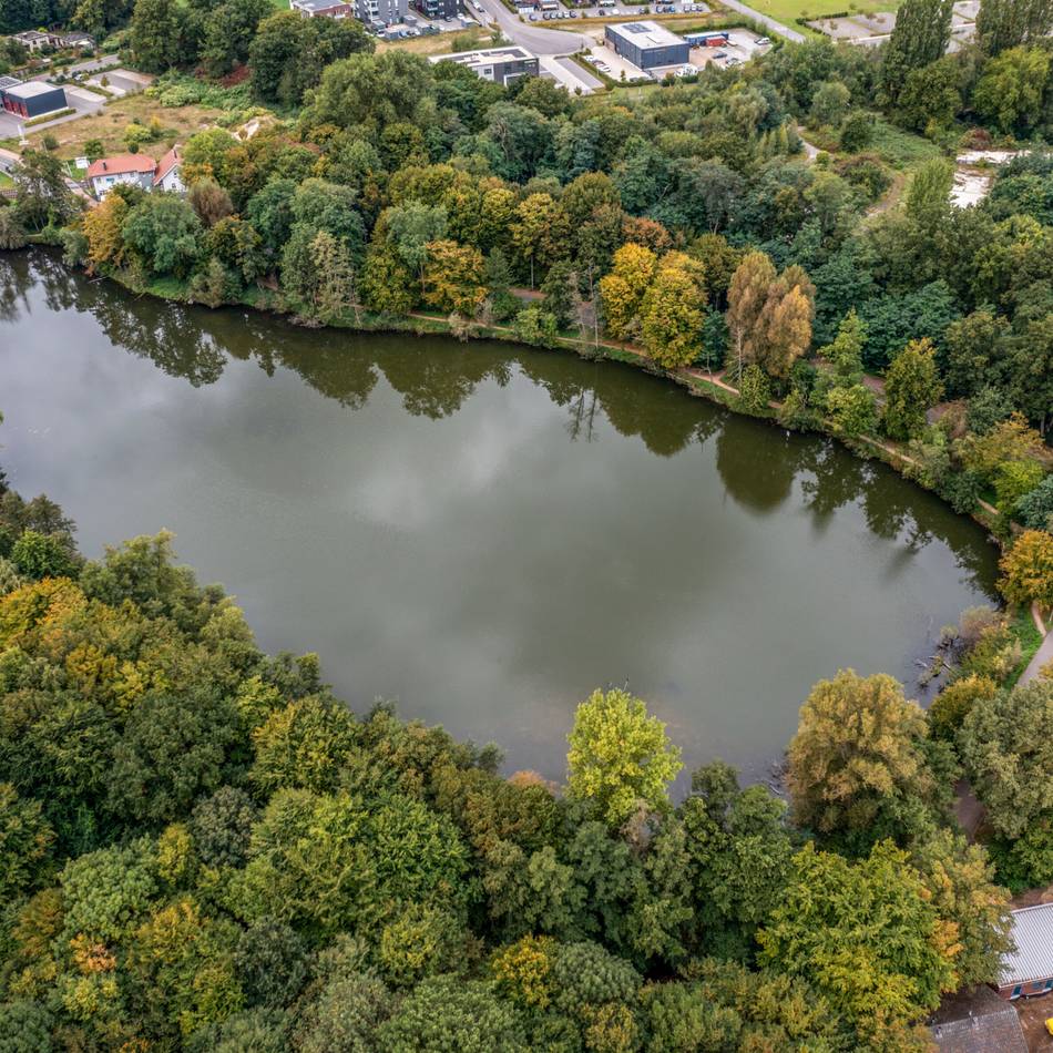 Kleinod in Geldern gefährdet: Der Holländer See kämpft ums Überleben