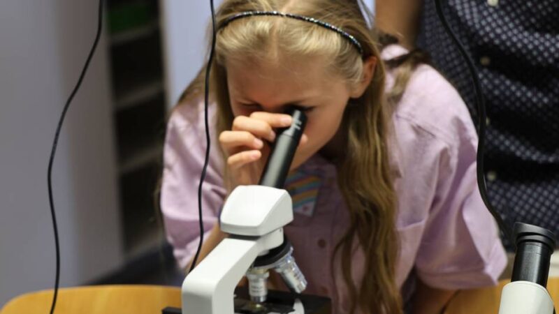 Naturwissenschaft, Robotik, Sprachen: Bewerbungsphase für das 17. Gaesdoncker Kinder College gestartet