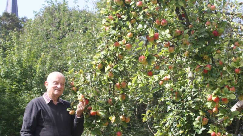 Experiment des NABU in Viersen: Mediterranes Obst aus Viersen