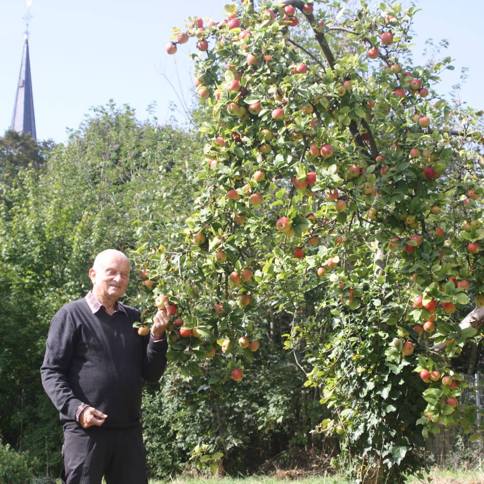 Experiment des NABU in Viersen: Mediterranes Obst aus Viersen