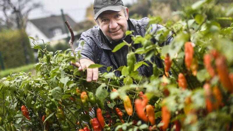 Aktion in Düsseldorf: Gartenbesitzer laden zum letzten Mal in diesem Jahr Besucher ein