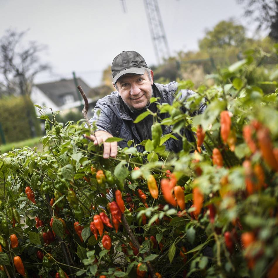 Aktion in Düsseldorf: Gartenbesitzer laden zum letzten Mal in diesem Jahr Besucher ein