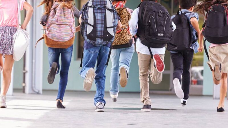 Gymnasium, Gesamt- oder Realschule – Zeit zu wählen: „Es gibt nicht die beste Schule, aber die passende“