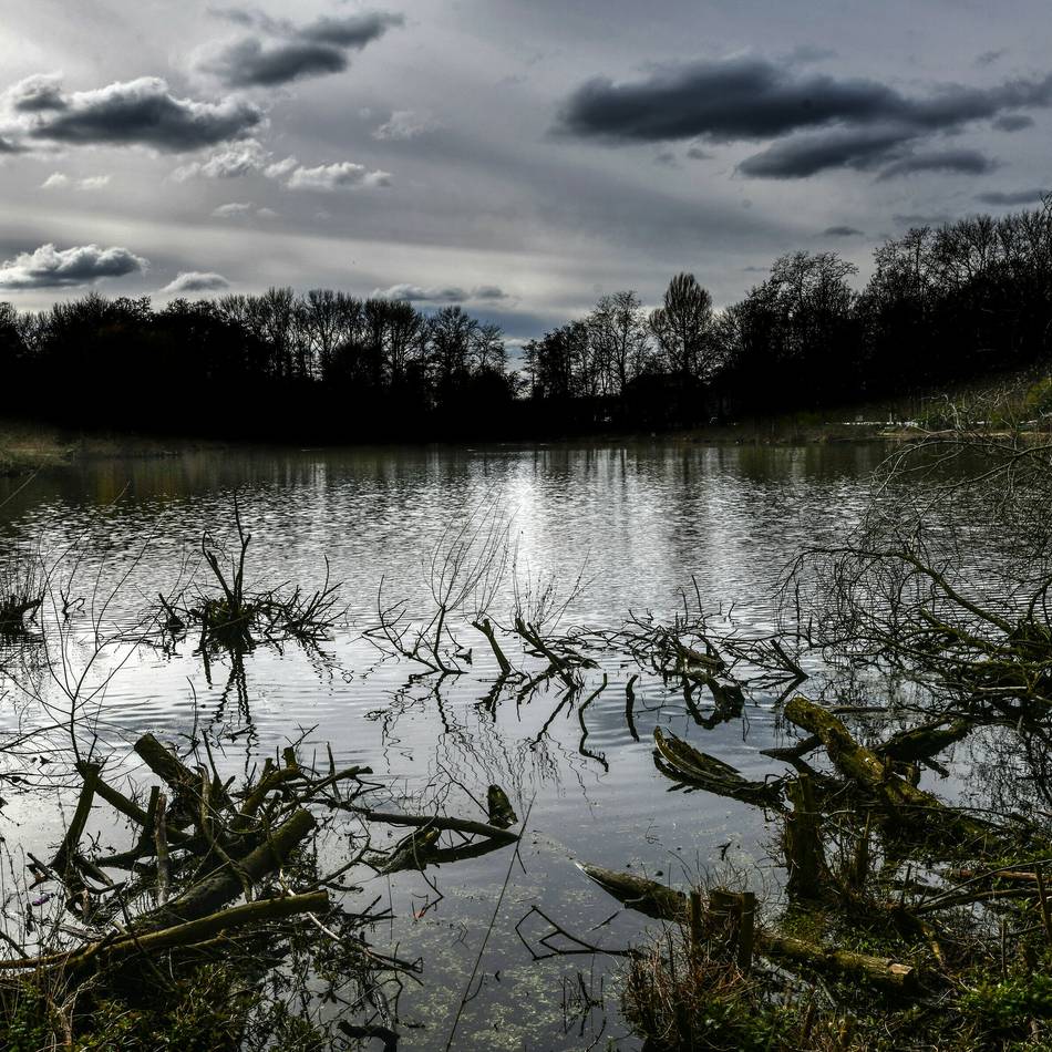 Antrag von Grünen und SPD in Geldern: Wasserqualität des Holländer Sees soll besser werden