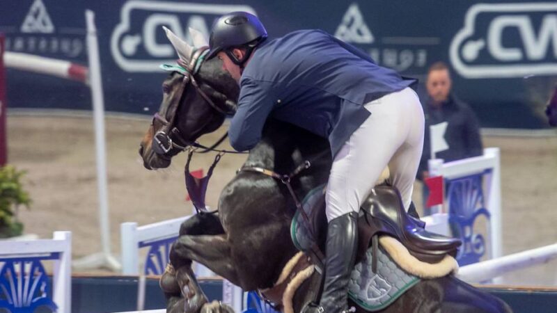 „Christmas Edition“ für Reitsportfreunde: So sehr weihnachtet es im Springparcours