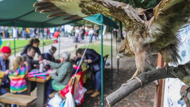 Wildparkfest im Grafenberger Wald: „Wir bringen Hände und Hirn der Kinder zusammen“