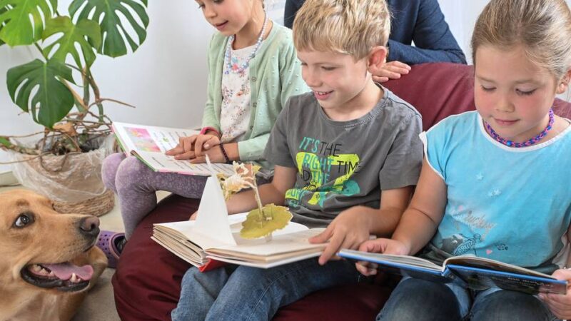 Buddy begleitet die Kinder im Unterricht: Warum die Grundschule Wetten einen Schulhund hat
