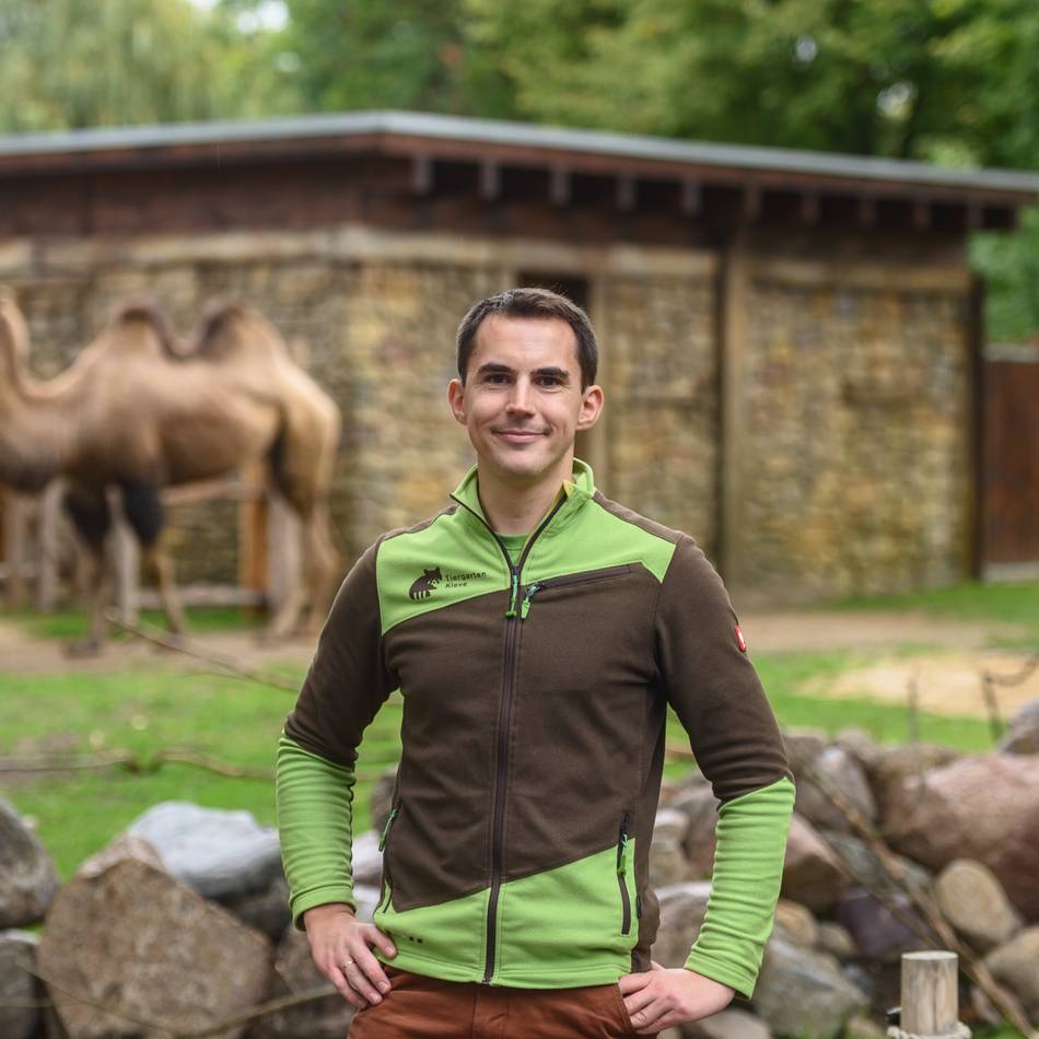 Vom Streichelzoo zum Erlebnispark: Masterplan im Klever Tiergarten läuft auf Hochtouren