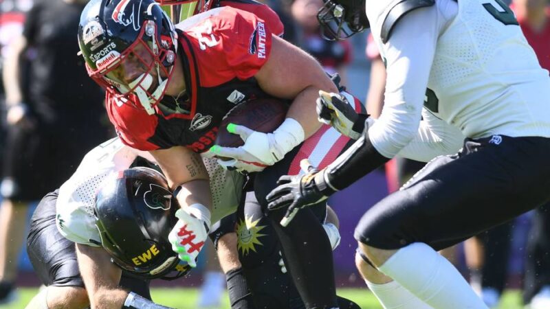 Erfolgreicher Auftritt zum Abschluss: Panther gewinnen in Straubing und freuen sich über Platz fünf