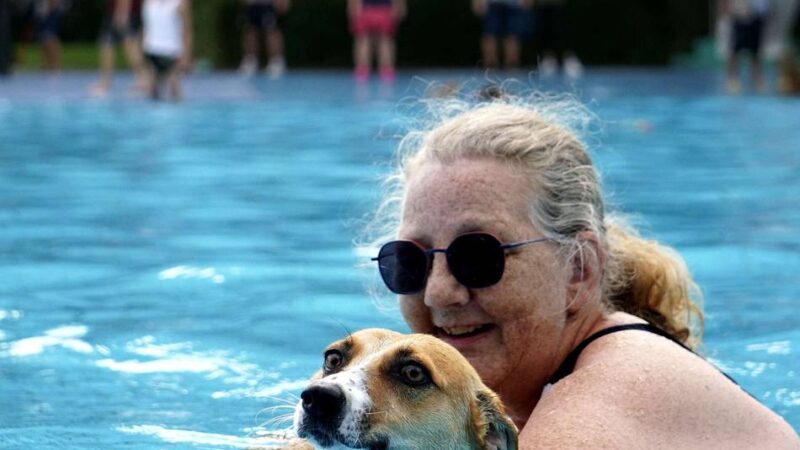 Underberg-Freibad beendete die Saison: 350 Hunde tollen im Freibad