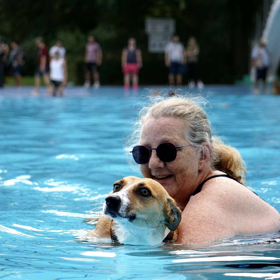 Underberg-Freibad beendete die Saison: 350 Hunde tollen im Freibad