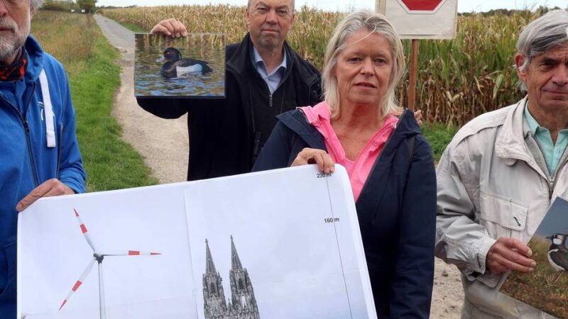 Zum Vogelschutz am Buschbergsee in Leverkusen: Nabu klagt gegen Windradprojekt