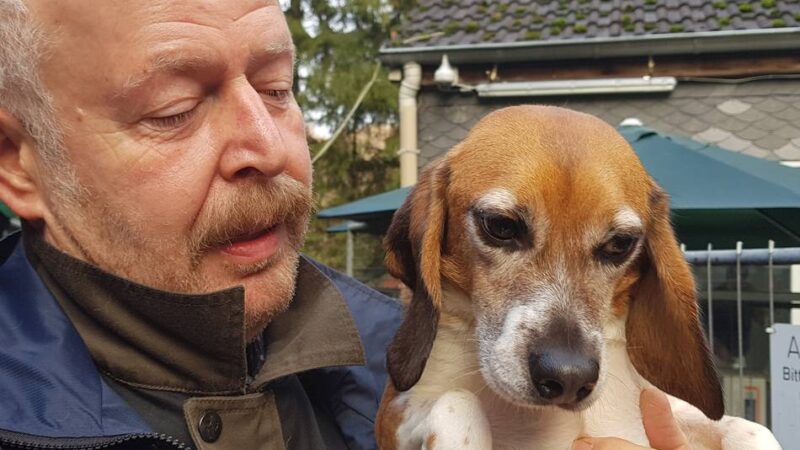 Tierschutzverein Wermelskirchen und Umgebung: „Wir können nicht für die Sünden der Gesellschaft aufkommen“