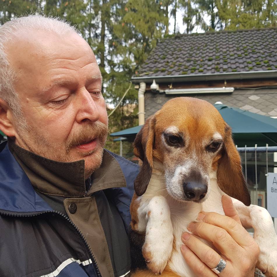 Tierschutzverein Wermelskirchen und Umgebung: „Wir können nicht für die Sünden der Gesellschaft aufkommen“