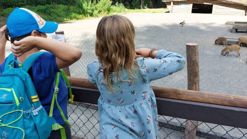 Tiere und Natur in Düsseldorf: Großes Familienfest im Wildpark an diesem Sonntag