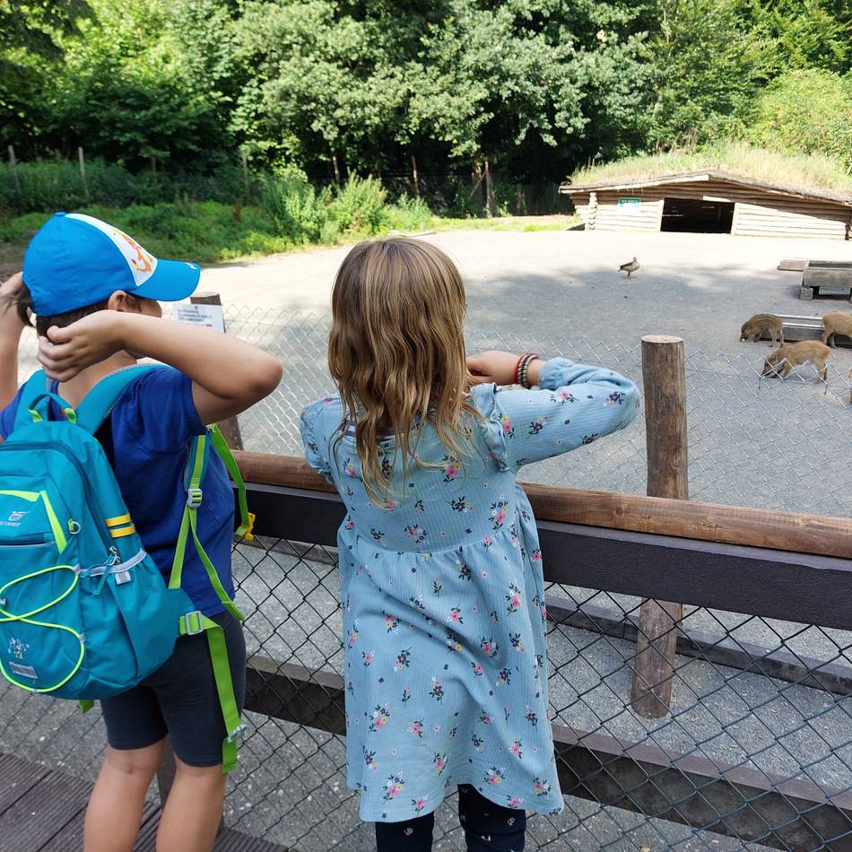 Tiere und Natur in Düsseldorf: Großes Familienfest im Wildpark an diesem Sonntag