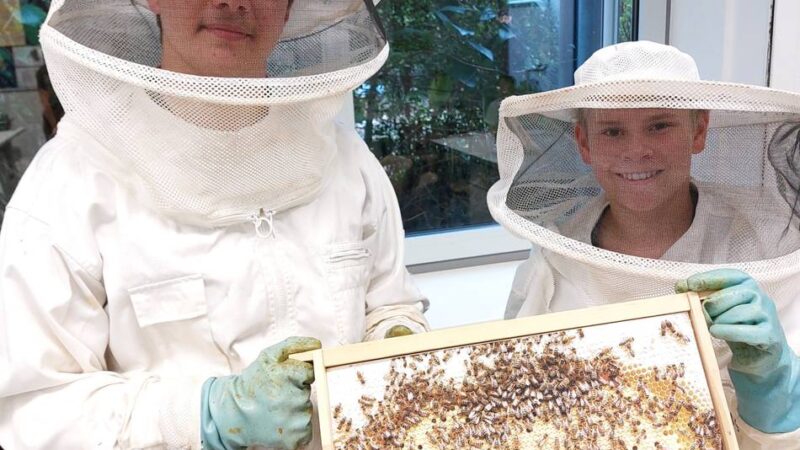 Geschäftsidee in Meerbusch: Meerbuscher Schüler werden für Vermarktung von Honig ausgezeichnet